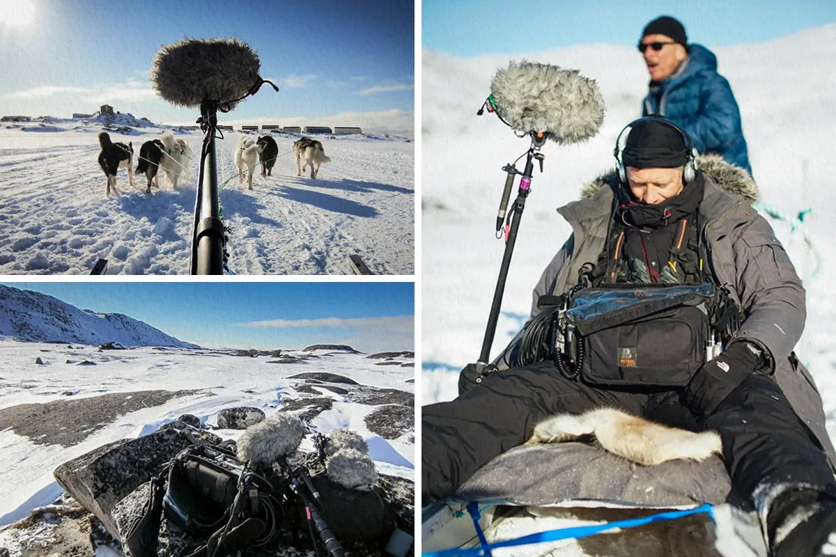 نکات ضروری در مورد بادگیر میکروفون که باید بدانید 1 مقاله نکات ضروری در مورد بادگیر میکروفون که باید بدانید 04