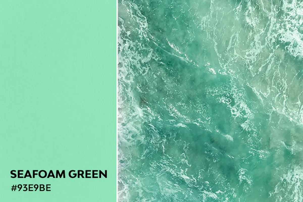 ایده رنگ: سبز کف دریایی 1 مقاله ایده رنگ سبز کف دریایی 01