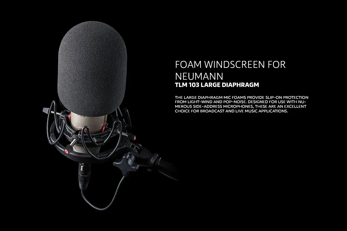 شناخت بادگیرهای میکروفون 3 مقاله شناخت بادگیرهای میکروفون 04